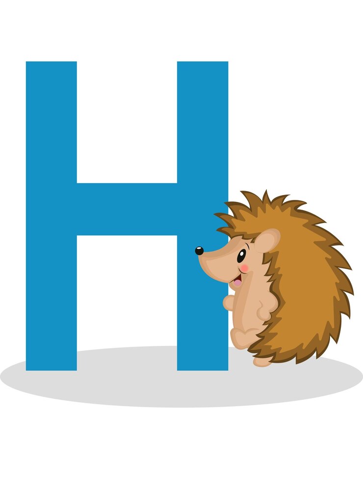 Vector vector h para erizo