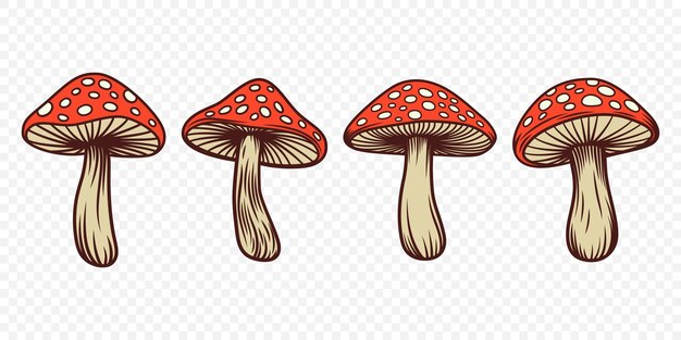 Vector Hand Drawn Cartoon Mushrooms Amanita Muscaria Fly Agaric Illustration Mushrooms Collection