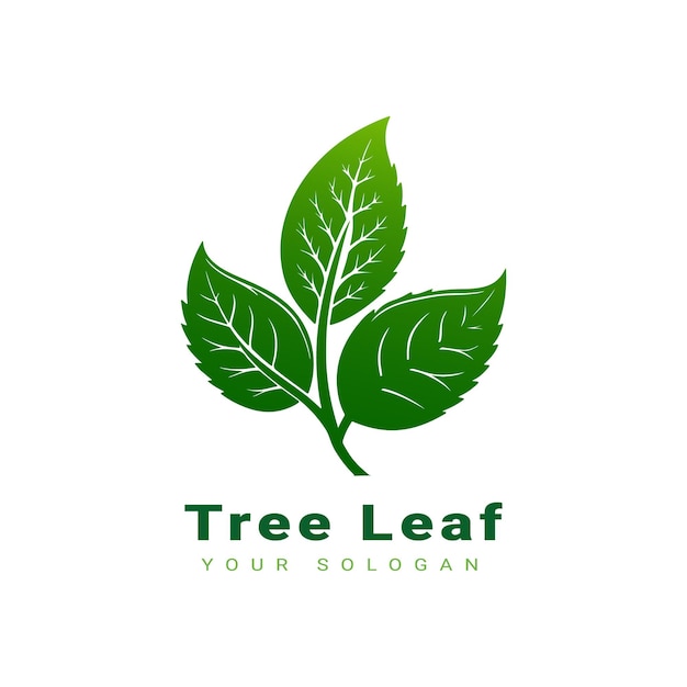 Vector hermoso diseño de logotipo de hoja de árbol