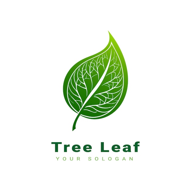 Vector hermoso diseño de logotipo de hoja de árbol