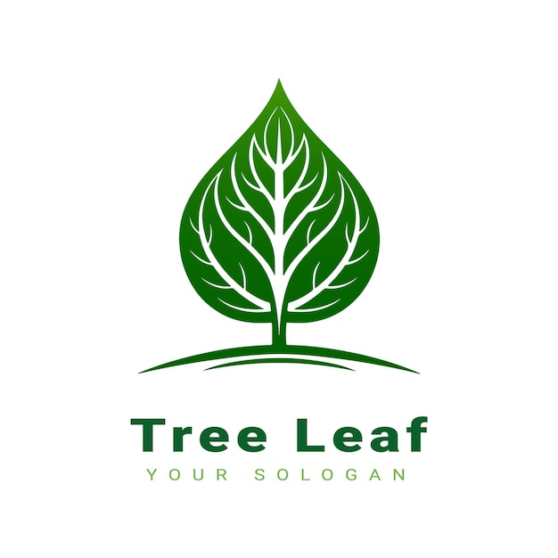 Vector hermoso diseño de logotipo de hoja de árbol
