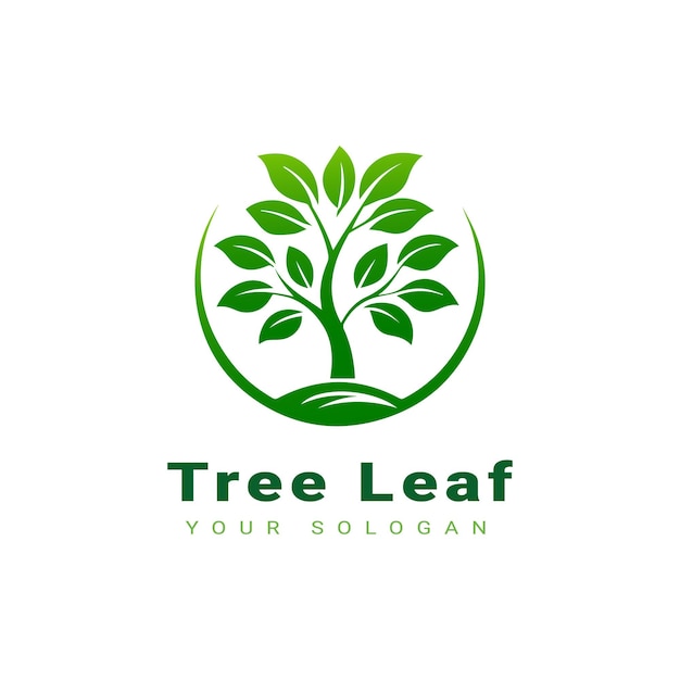 Vector hermoso diseño de logotipo de hoja de árbol