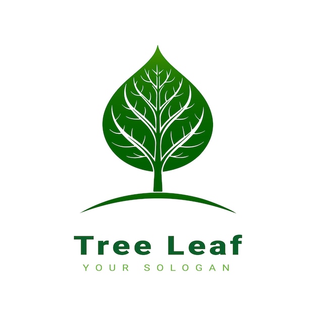 Vector hermoso diseño de logotipo de hoja de árbol