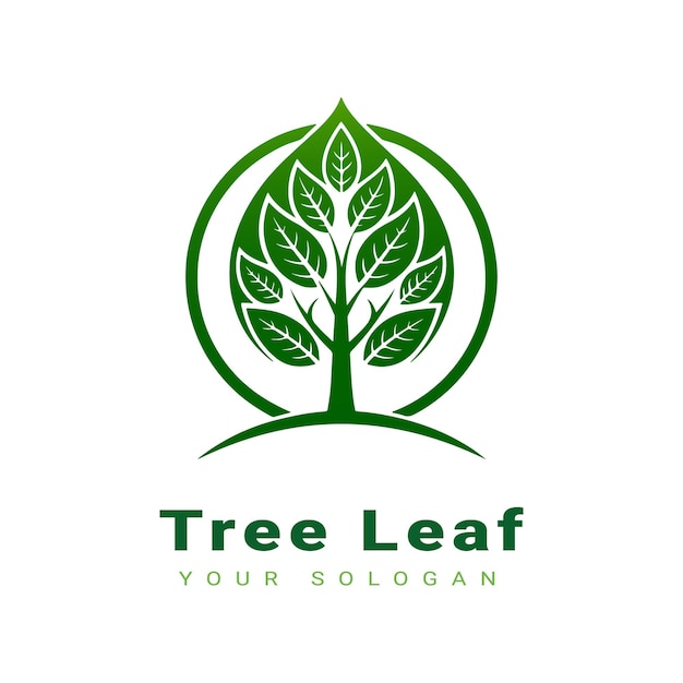 Vector hermoso diseño de logotipo de hoja de árbol