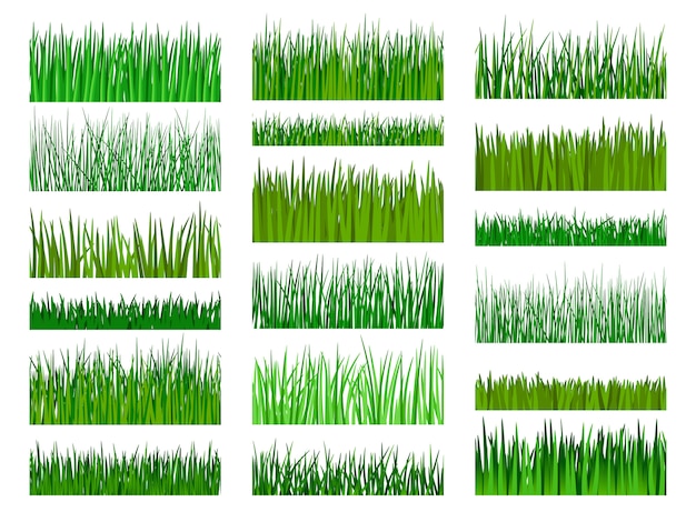 Vector de hierba verde. Hierba frontera patrón horizontal transparente aislado
