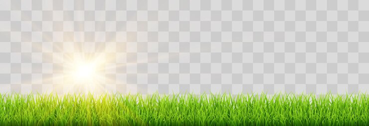 Vector vector de hierba verde primavera png