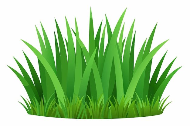 Vector de hierba verde sobre fondo blanco.