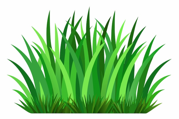 Vector de hierba verde sobre un fondo blanco