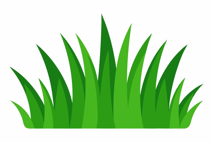 Vector vector de hierba verde sobre fondo blanco.