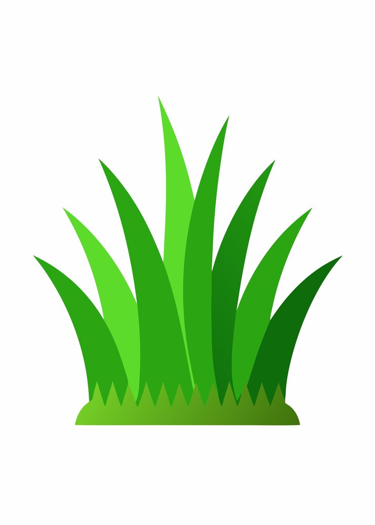Vector vector de hierba verde sobre un fondo blanco