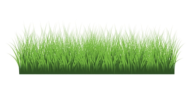 vector de hierba verde