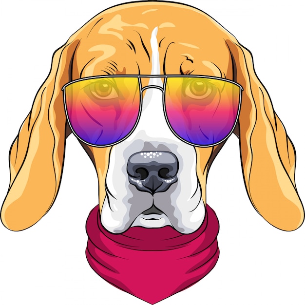 Vector hipster perro serio raza beagle en corbata roja y gafas de dos colores de moda