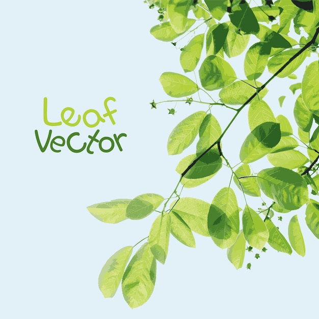 Vector vector de hoja 1