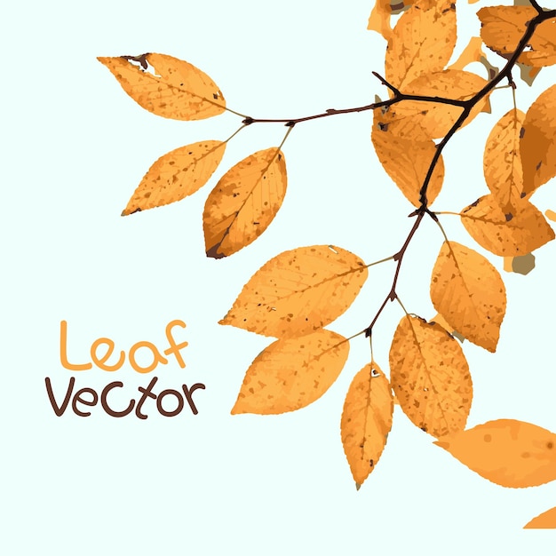 Vector de hoja 5