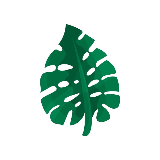 Vector de hoja de monstera tropical Ilustración aislada en un fondo blanco