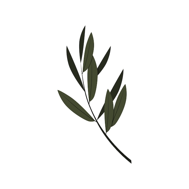 vector de hoja de olivo