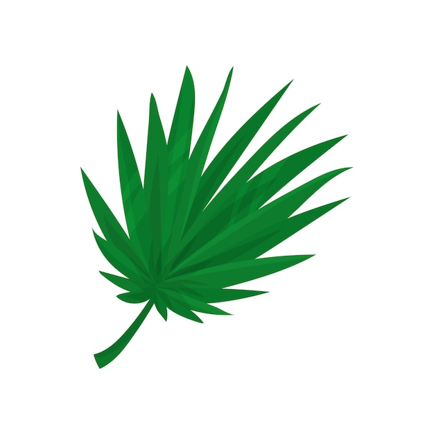 Vector de hoja de Palma de abanico verde Ilustración aislada en un fondo blanco