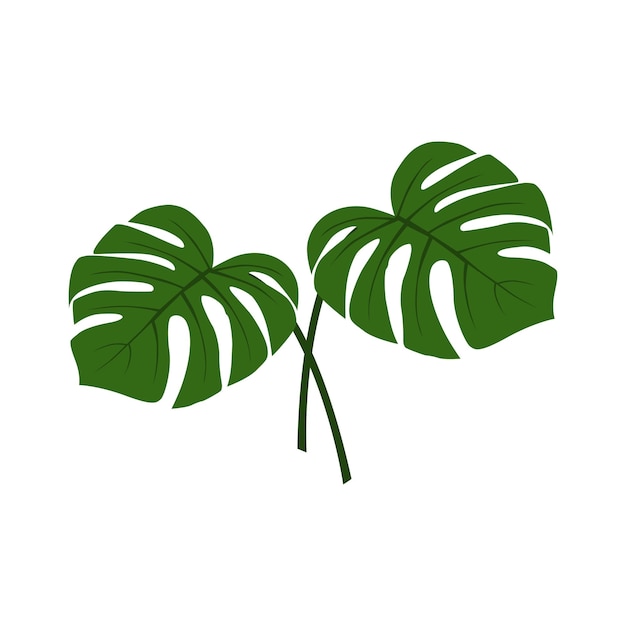 vector de hoja de planta monstera