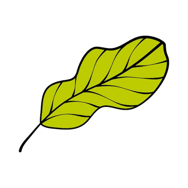 El vector de la hoja puede volver a colorearse