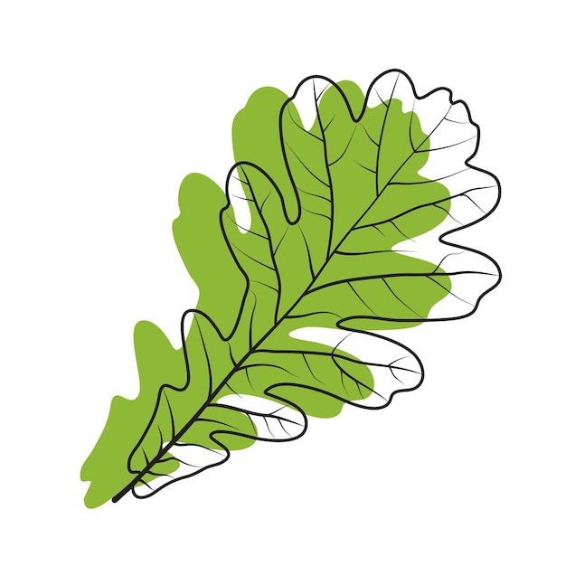 vector de hoja de roble