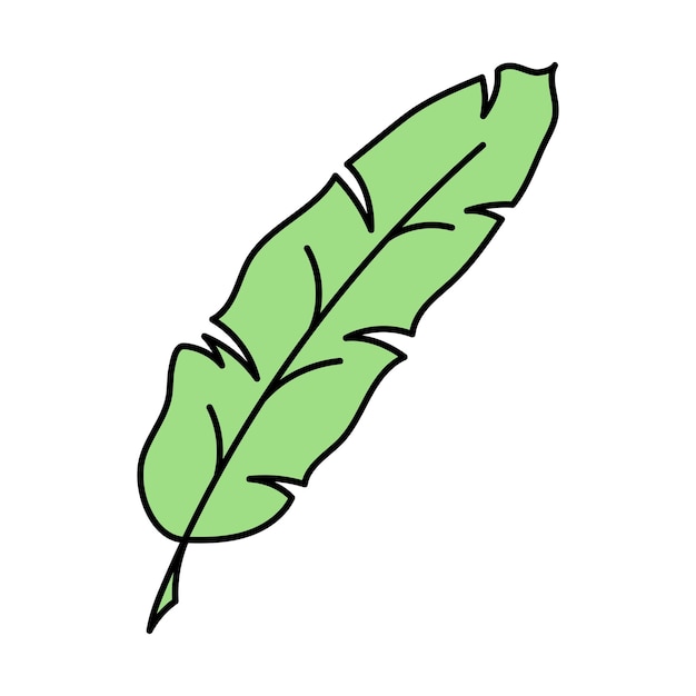 Vector de hoja tropical dibujado a mano en estilo doodle aislado sobre fondo blanco