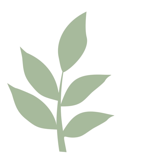 Vector vector de hoja verde aislado sobre fondo blanco. hojas en estilo plano moderno