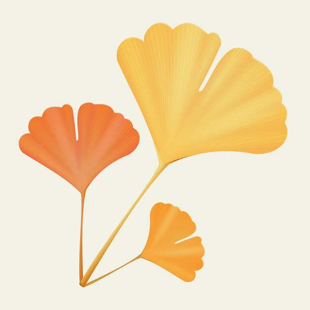 Vector de hojas de ginkgo biloba amarillas detalladas y realistas en 3D