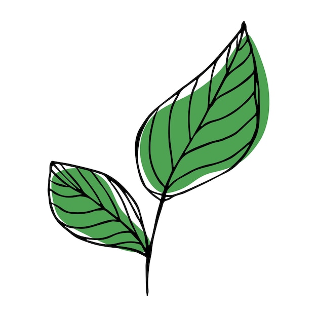 Vector hojas de limón clipart Ilustración de planta dibujada a mano para imprimir diseño web decoración logo