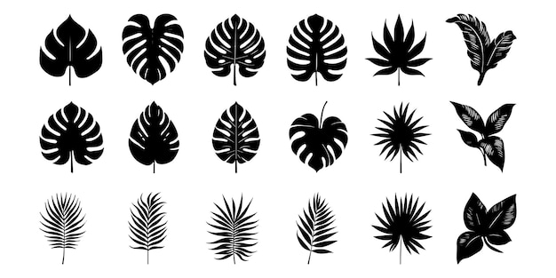 Vector vector de hojas tropicales conjunto de siluetas de hojas de palma aisladas sobre fondo blanco