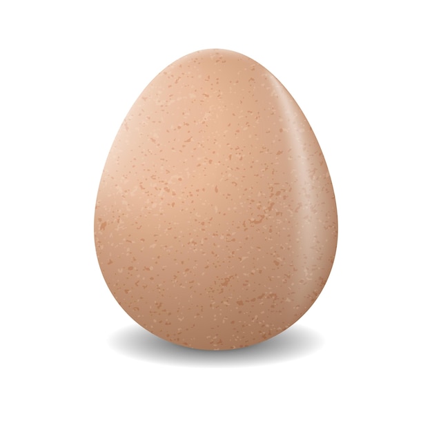 Vector de huevo de gallina realista para la Pascua