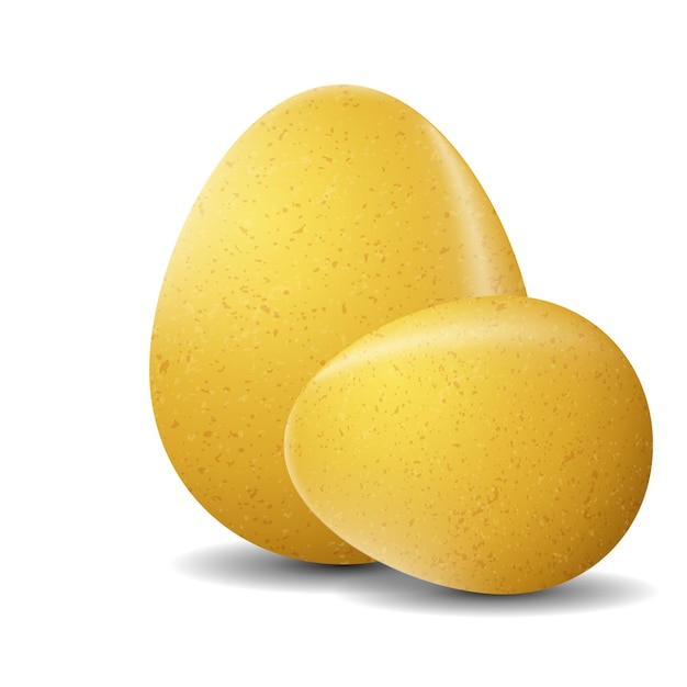 Vector de huevo de gallina realista para la Pascua