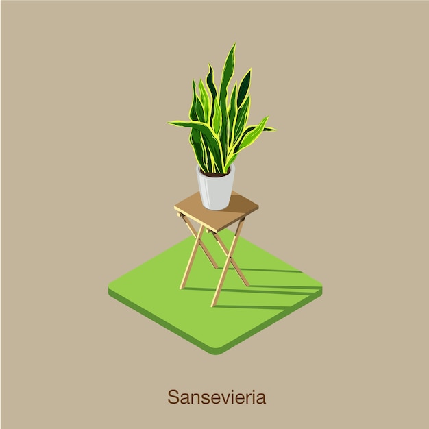 Vector vector de icono 3d isométrico de sansevieria