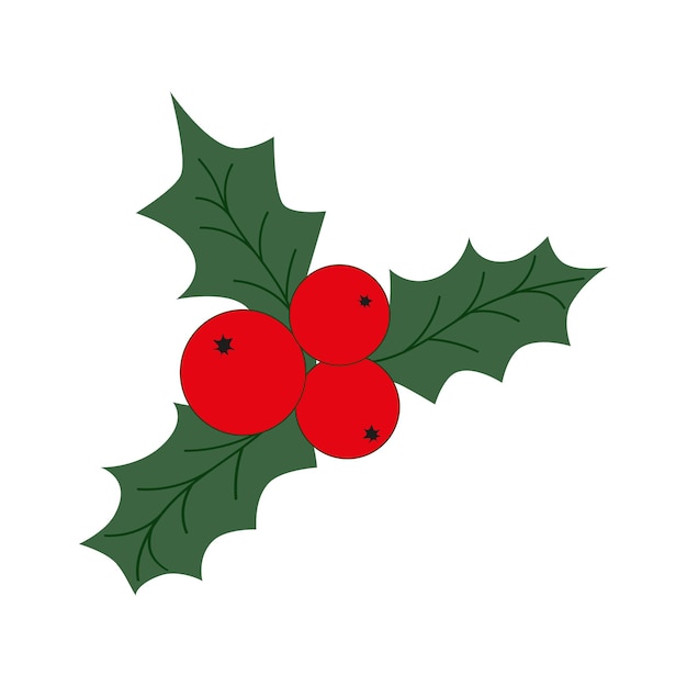 Vector vector de icono de las bayas de acebo de navidad fondo blanco