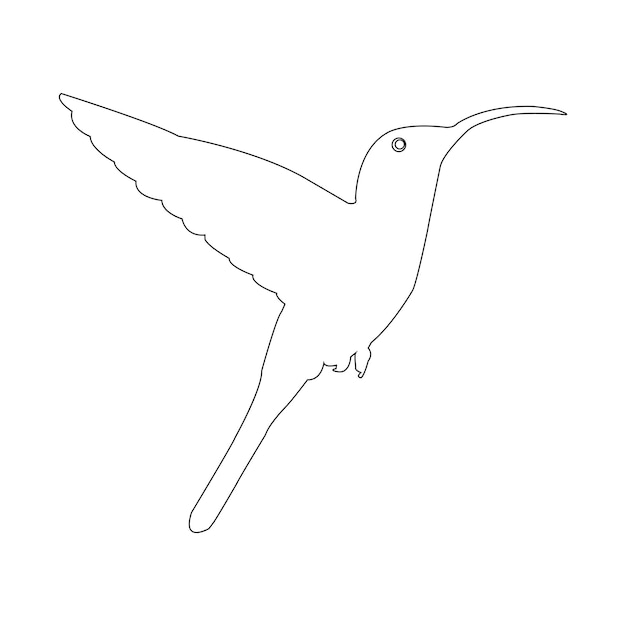 vector de icono de colibrí