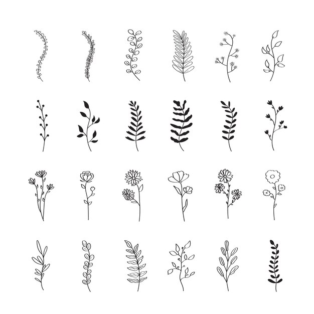 vector icono contorno flor botánica flor hoja aislado fondo