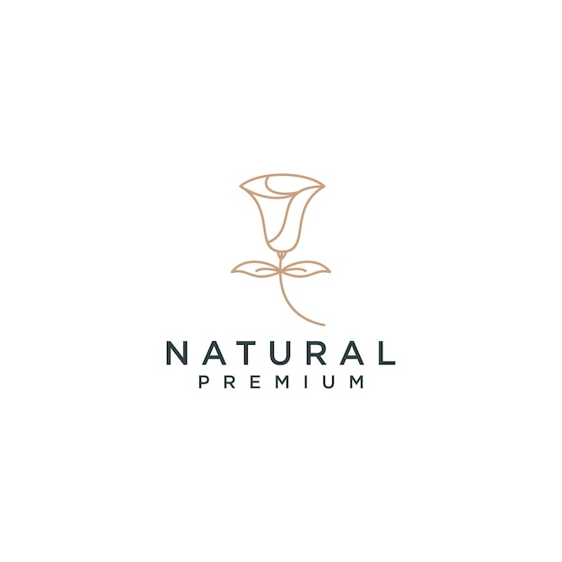 Vector de icono de diseño de logotipo natural