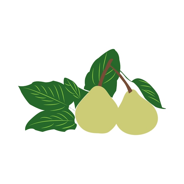 Vector de icono de fruta de pera