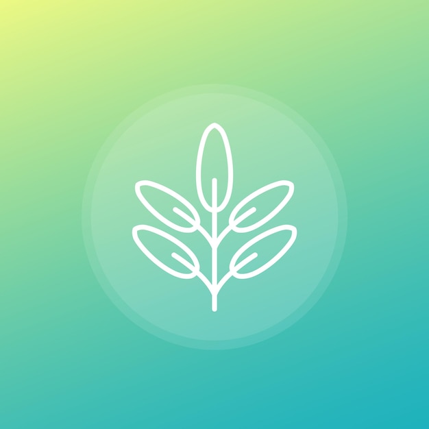 Vector de icono de línea de hierba salvia