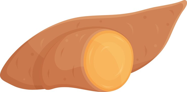 Vector vector icono lineal de batatas verdes y verduras especias y hierbas vitamina a garabato y boceto