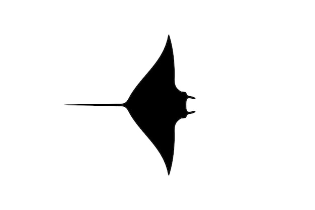 Vector de icono de manta sencillo sobre fondo blanco