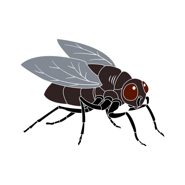 Vector del icono de la mosca