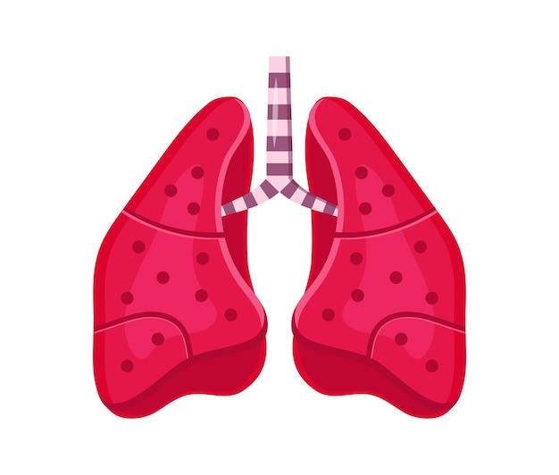 Vector vector icono de pulmón. se muestran los órganos internos humanos. la neumonía afecta los pulmones, el coronavirus ataca los alvéolos, símbolo de bronquitis.