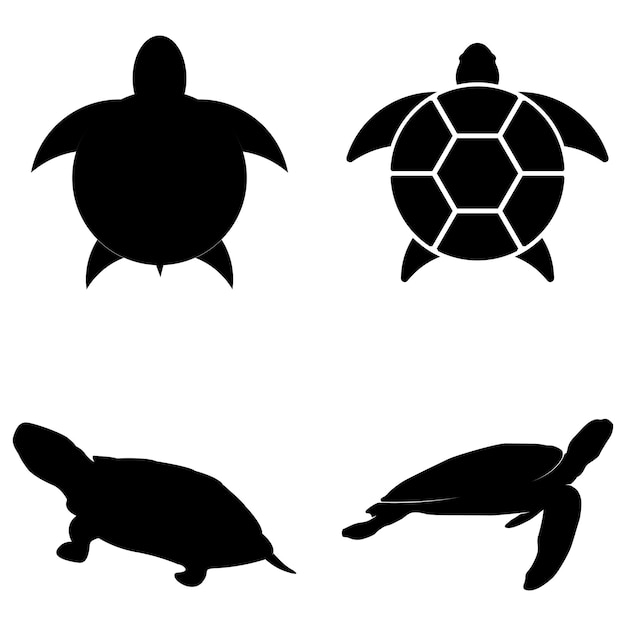 Vector icono de tortuga