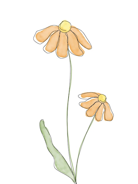 Vector ilustración aislada de flor de acuarela con línea negra. Decoración de diseño, postales.