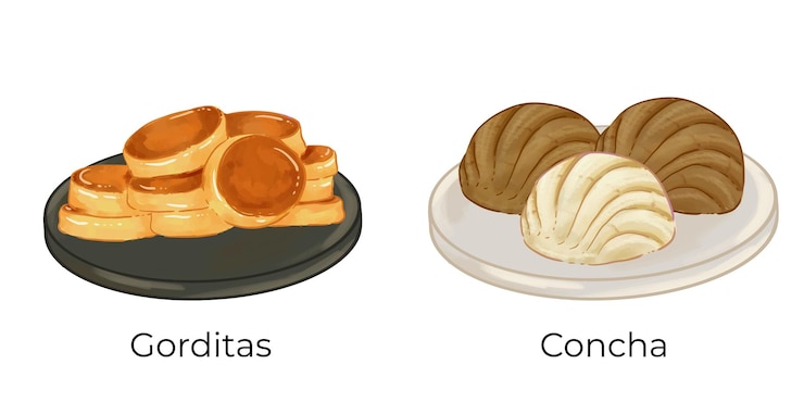 Vector vector de ilustración de alimentos mexicanos