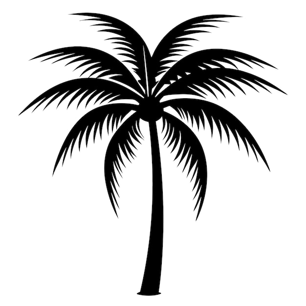 Vector y ilustración del árbol de coco