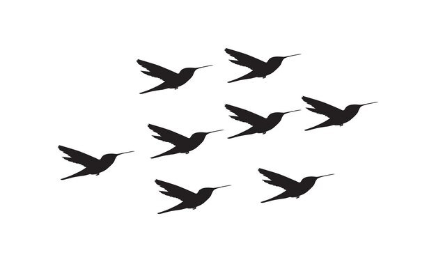 Vector y ilustración de aves voladoras