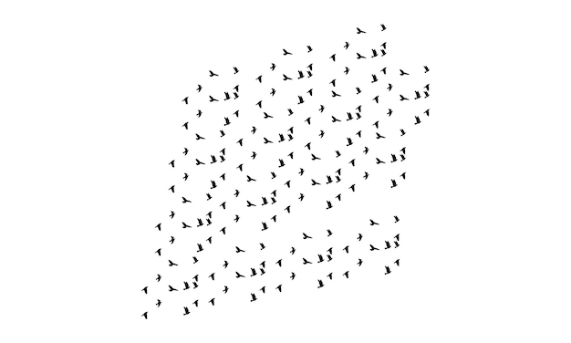 Vector y ilustración de aves voladoras