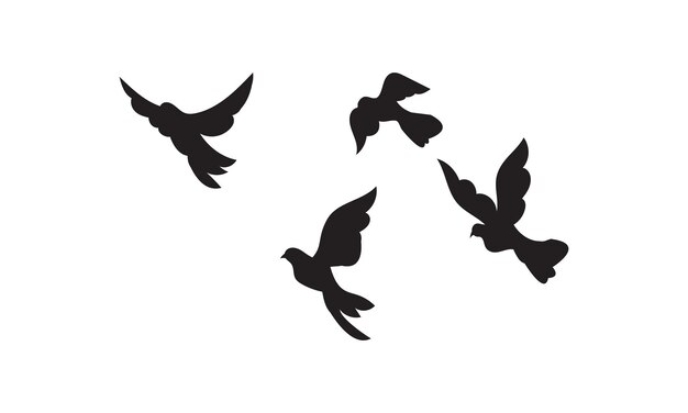Vector y ilustración de aves voladoras