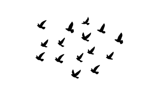 Vector y ilustración de aves voladoras